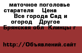 маточное поголовье старателя  › Цена ­ 3 700 - Все города Сад и огород » Другое   . Брянская обл.,Клинцы г.